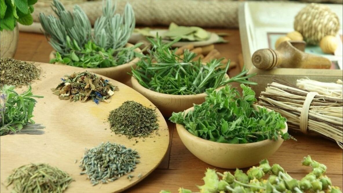 plants for removing parasites from the body