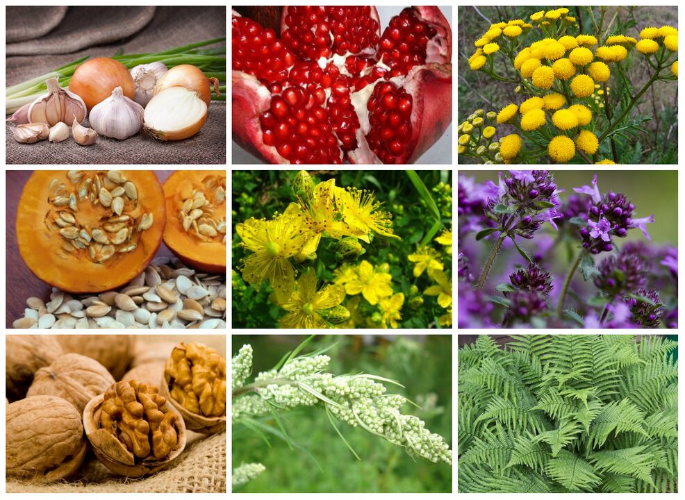 plants against parasites
